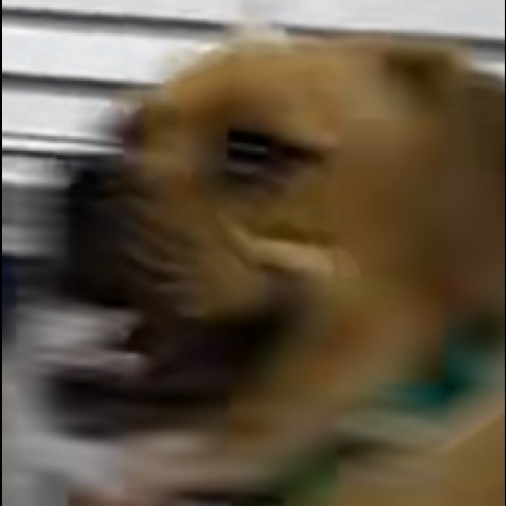 Meet your Posher, Alexa